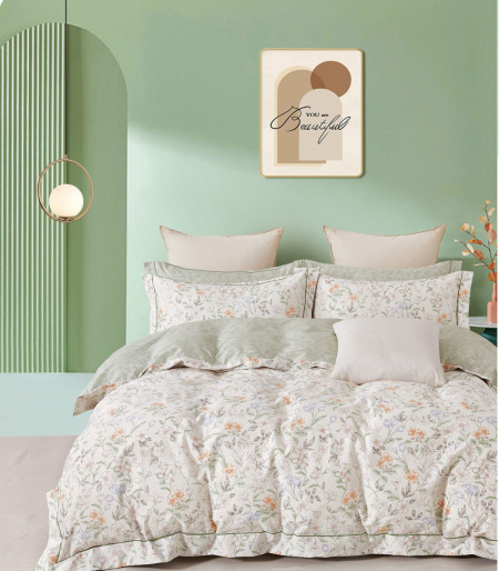 Постельное белье "Famille" RS-502 из сатина Евро