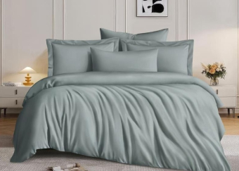 Постельное белье тенсель Cleo Organic Tencel евро 31/017-OTO