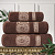 Комплект махровых полотенец Lotus Zeus (50х90-2)(70x140-1) 3 шт., Коричневый