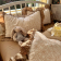 Комплект белья Soft Relief креп-жатка 1,5-сп (нав. 50х70 2шт.) KSR-15-06 Бриали Комплект белья Soft Relief креп-жатка 1,5-сп (нав. 50х70 2шт.) KSR-15-06 Бриали