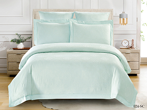 Постельное белье жаккард Cleo Soft Cotton дуэт 41/024-SC